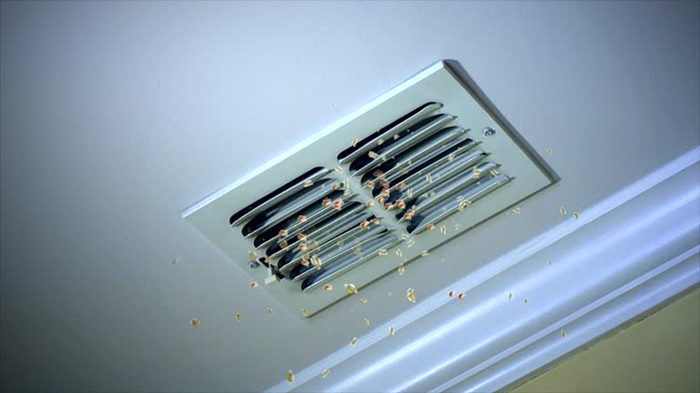 Best Ventilation Cleaning Services  in Pleasureville, PA