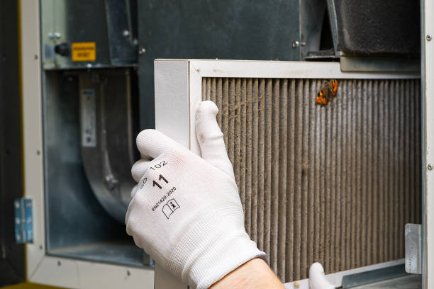 Best Professional Duct Cleaning Services  in Pleasureville, PA
