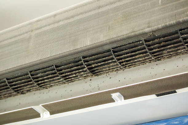 Best Affordable Duct Cleaning Services  in Pleasureville, PA
